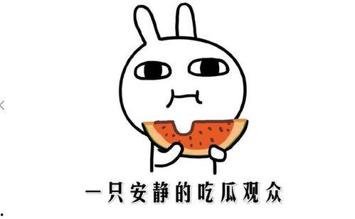 网络吃瓜是什么意思,揭秘虚拟世界中的围观文化