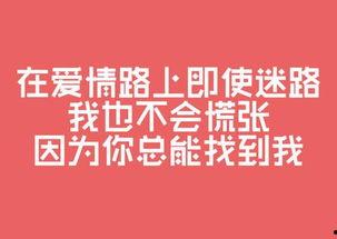 娱乐吃瓜文案图片带字