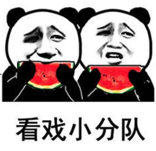 你们吃娱乐圈的瓜