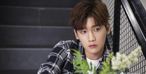 娱乐圈吃瓜爆料张宥浩,揭秘背后真相与争议