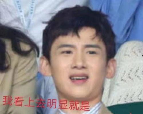 娱乐吃瓜白敬亭